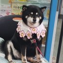 하늘온누리약국 이미지