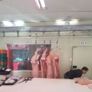 창대축산 이미지