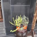 개정정미소 이미지