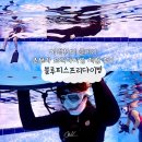 감자프리다이빙 | 대구 프리다이빙 "블루피스" 체험 스노쿨링 프리다이빙 첫 도전 후기