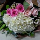 여수여문초등학교 이미지