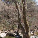 순창향 관광농원 오토캠핑장 이미지