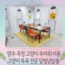 달빛냥살롱 이미지