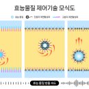 코스맥스(주) 코스인코리아닷컴