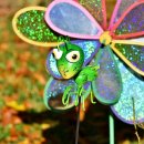 개미와 베짱이 이미지