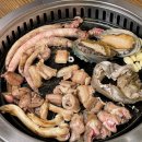 산꼼장어 이미지