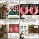 원일환경(주) - 2334 | 유럽 말병원 실습일지⑩ 회복하는 말들을 지켜보며, 나도 조금은 자랐을까?