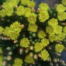 성호농원 이미지