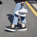 솔화이트호프
