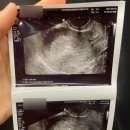 최성란산부인과의원 이미지