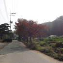 부천둘레길5코스 이미지