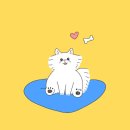 파트라슈 이미지