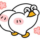 곱은달공방