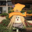 할아버지 할머니도 춤을 춰요. 이미지