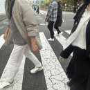 스냅치즈 | 도쿄 감성 그대로 담아낸 치즈 스냅 커플스냅 후기