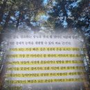 돈의비밀 - 13. 나의 시간과 투자의 시간 | 돈의 방정식 책 | 모건 하우절 책 후기 | 빠름은 관심을 차지하고 느림은 모든 돈을 가져간다 추천 리뷰...