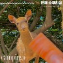 소쿠리섬1 이미지