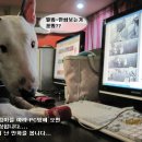 바니PC방 이미지