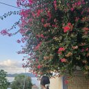 리라태권도 | 터키(튀르키예)🇹🇷 신혼여행 8일 간의 마지막 기록 –케코바 보트투어🚤 + 뜻밖의 공항 대기 + 여행 마무리