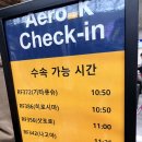 더케이호텔 노동조합 | 여행] 4박 5일 삿포로 첫 날 (에어로케이, 신치토세공항 가라쿠, 삿포로 츠바키 호텔, 공항버스 이용)