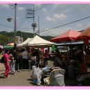 양구중앙시장 이미지