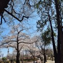 달성공원 | 대구 달성공원 방문 후기: 사자부터 코끼리까지! 주말 가족 나들이 명소 추천