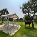 숏게임마스타 이미지