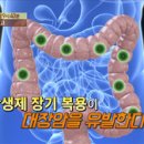 항생제로 병드는 대한민국! 천연 항생제로 막아라! [천기누설] 이미지