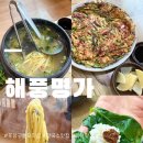 칼국수명가 | 포항 구룡포맛집 현지인 맛집 해풍명가 바지락칼국수 파전 내돈내산 솔직후기