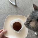 호호번 | 동탄 병점 두쫀쿠 최고맛집 호호번 내돈내산 후기