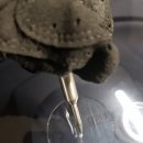 광진차유리 이미지