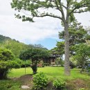 영산강로 이미지