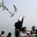 안흥유람선 이미지