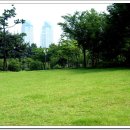 두대로-3 이미지