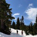 엘핀(Elfin) | 밴쿠버 북쪽 엘핀 호수(Elfin Lakes) 눈 트레킹