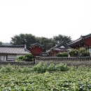 하로서원 Daum카페