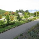 왕지로타리 이미지