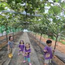 도윤농장 이미지