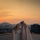 샵테라스 이미지