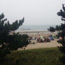 경기민박 이미지