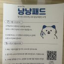 뽀송 | 발냄새제거 냥냥패드 뽀송스타터세트 후기