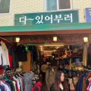 벼룩이구제 - 청송군 진보로 148-1 | 벼룩이구제