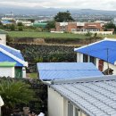 심지방코지 이미지