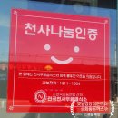 금화왕돈까스 | 논산 돈까스 맛집 찾는다면? 푸짐함에 반하고 온 금화왕돈까스 논산지산점 후기