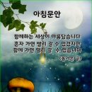 11월1일 금요일 오늘의 책속의 한마디 이미지