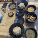 소나무를 품다 이미지