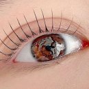 릴리뷰티 이미지