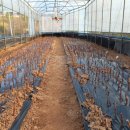 홍주목장 이미지