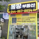 먹자골공인중개사사무소 | 세종시 나성동 상가 전문부동산 세종몽땅부동산 상가몽땅 방문 후기