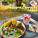 [청주 애견동반여행] 청주애견동반카페 &amp; 대형 베이커리 카페 커피빵공장 브런치 플레이트